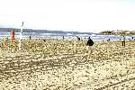 Click to see SD045354.JPG