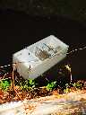 Click to see DSC05075.JPG