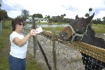 Click to see _DSC4912.JPG