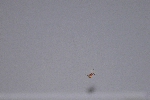 Click to see _DSC7882.JPG