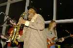 Click to see DSC4936.JPG