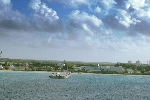 Click to see DSC_9207.JPG