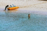 Click to see DSC_9217.JPG