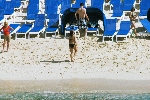 Click to see DSC_9222.JPG