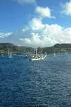 Click to see DSC_9876.JPG
