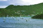 Click to see DSC_9883.JPG