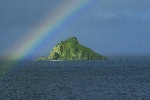 Click to see DSC_9895.JPG