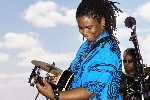 Click to see DSD_0123.JPG