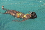 Click to see DSD_0135.JPG