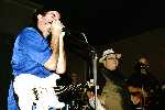 Click to see DSC_1933.JPG