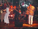 Click to see DSC09445.JPG