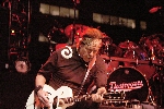 Click to see _DSC1160.JPG